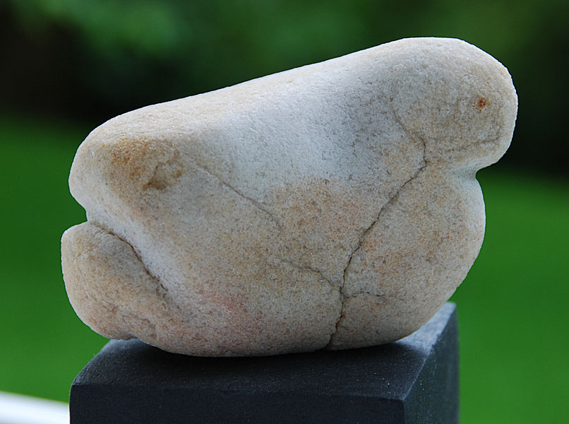 5vogel_fisch_b