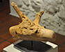 Hirsch_Fisch_2