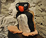 Pingu