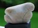 5vogel_fisch_b